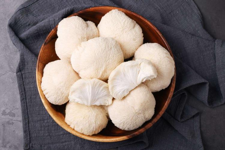 Ini Alasan Jamur Masuk Jajaran Primadona Pasar Makanan Sehat Dunia