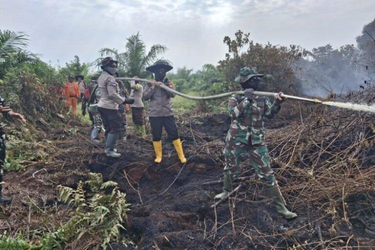 Riau Sumbang 82 Titik Panas, Pelalawan Terbanyak 67 Hotspot