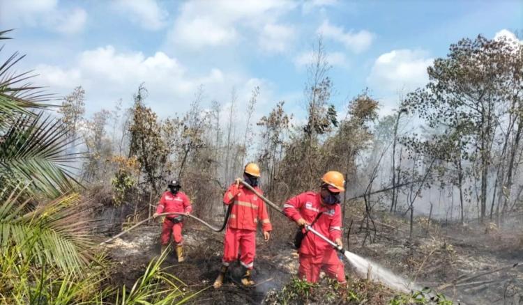 104 Titik Panas Muncul di Riau, Bengkalis dan Pelalawan Terbanyak