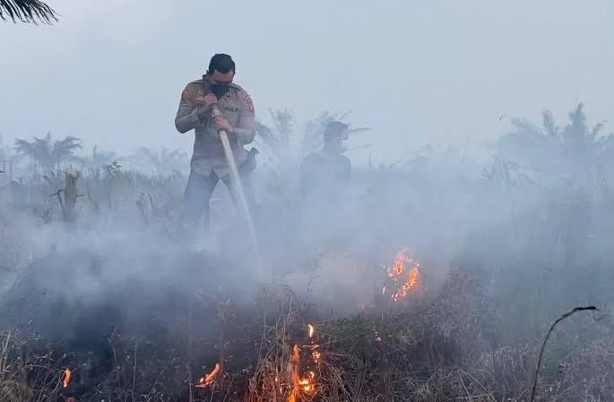 60 Ha Lahan di Bengkalis Terbakar, Tim Pemadam Kerja Keras Lakukan Penyekatan Cegah Api Meluas