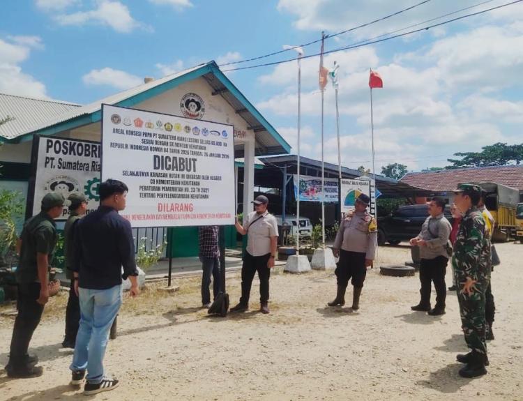 Satgas PKH Pasang Plang Pencabutan Izin PT SRL Seluas 65 Ribu Hektare di Pulau Rupat dan Rangsang, Walhi Riau Pertanyakan Luas Areal Tak Sesuai