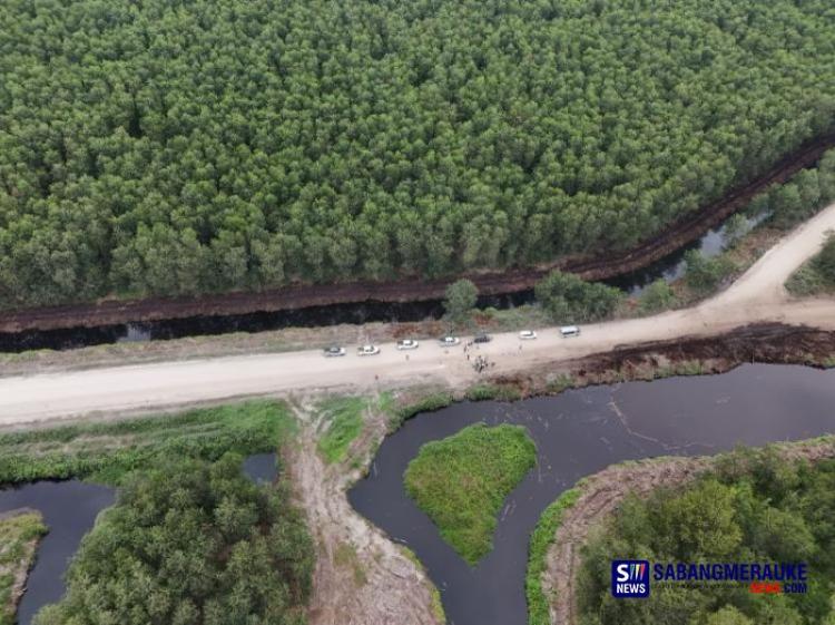 Yayasan Menara Serukan Setop Akasia dan Eukaliptus di Riau: Merusak Lingkungan, Mengancam Satwa Liar dan Stok Oksigen! 
