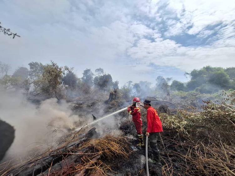 Bau Asap Mulai Terasa di Pekanbaru, Titik Panas di Riau Hari Ini Tembus 229 Hotspot