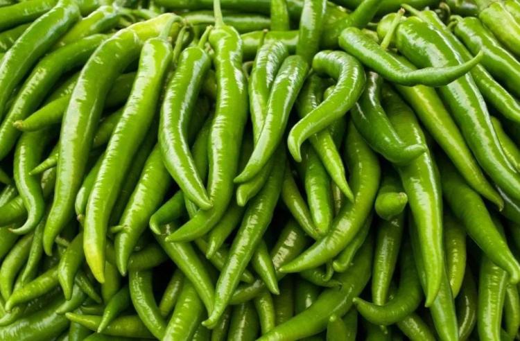 India Jadi Negara dengan Produksi Cabai Hijau Terbesar di Dunia