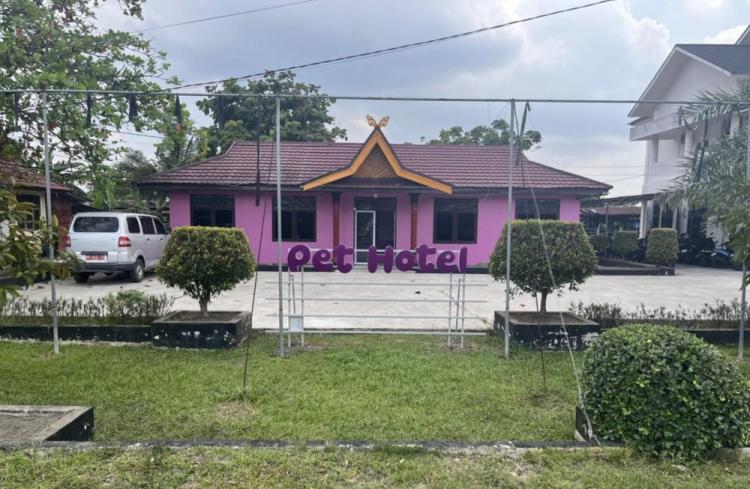 Inovasi Baru! Dinas PKH Riau Sulap Klinik Hewan Jadi Pet Hotel Bintang 5
