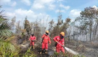 104 Titik Panas Muncul di Riau, Bengkalis dan Pelalawan Terbanyak