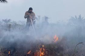 Riau Membara Dikepung 251 Titik Panas Rabu Ini, Terbanyak di Pulau Sumatera