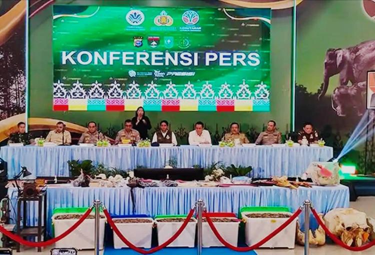Ramai-ramai Pejabat Hadiri Ekspos Kasus Gajah Mati di Kawasan Lindung Konsesi PT RAPP, Termasuk Menteri Kehutanan