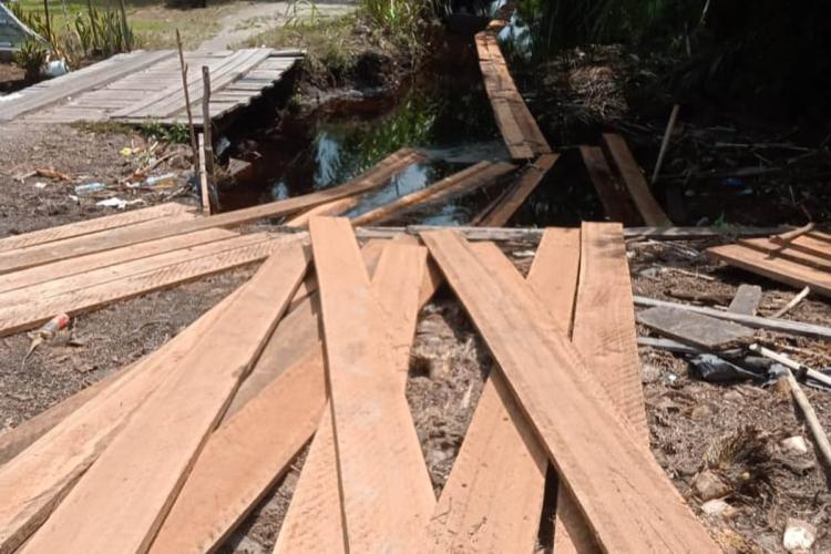 Misteri Truk di Parit Mega Terungkap, Operasi Senyap BBKSDA Riau Bongkar Skandal Kayu Ilegal!