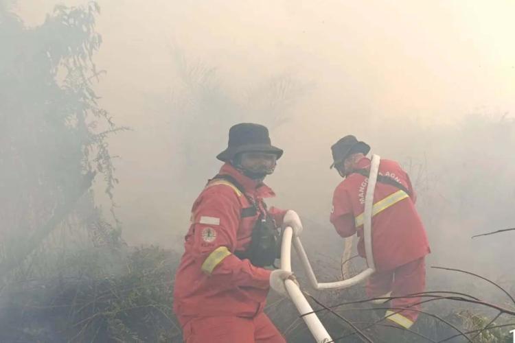 Riau Dikepung 57 Titik Panas, Petugas Berjibaku Padamkan Api Hingga Bertemu Harimau