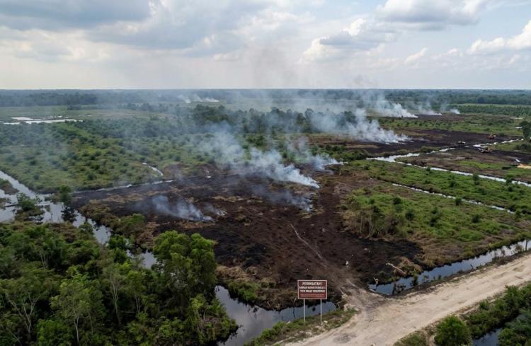 Ribuan Titik Panas Muncul di Riau, Ekosistem Gambut Dinilai Semakin Rentan Terbakar