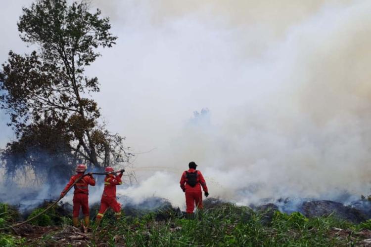 46 Titik Api, Riau Jadi Penyumbang Hotspot Terbanyak di Sumatera Hari Ini