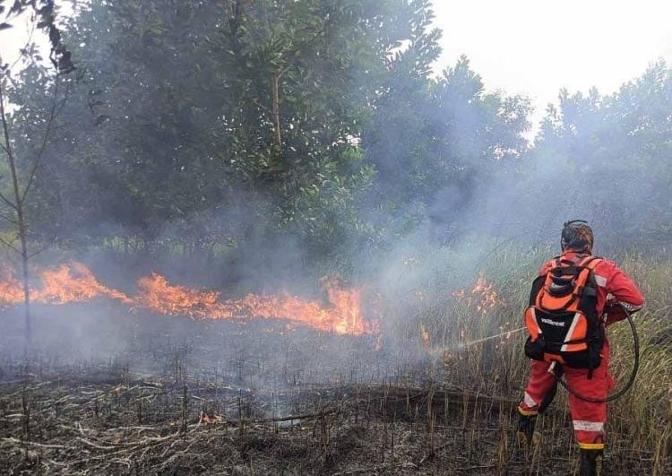 Jalur Mudik Terancam Asap! Manggala Agni Sumut dan Jambi Diterjunkan ke Riau