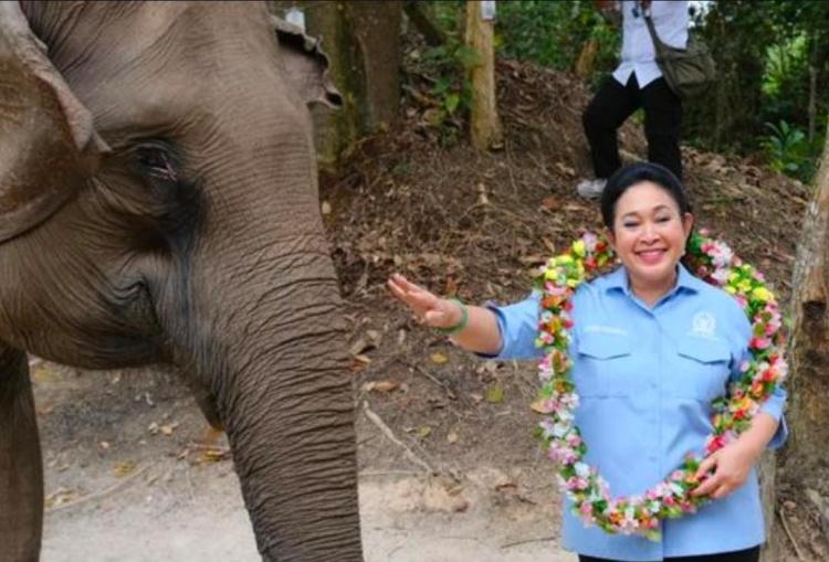 Titiek Soeharto Soroti Pemulihan TNTN: Relokasi Harus Humanis, Jangan Belum Apa-apa Sudah Diusir! 