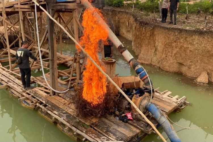 Jadi Abu! Polisi Bakar Habis 5 Rakit Naga Emas di Sungai Kuantan