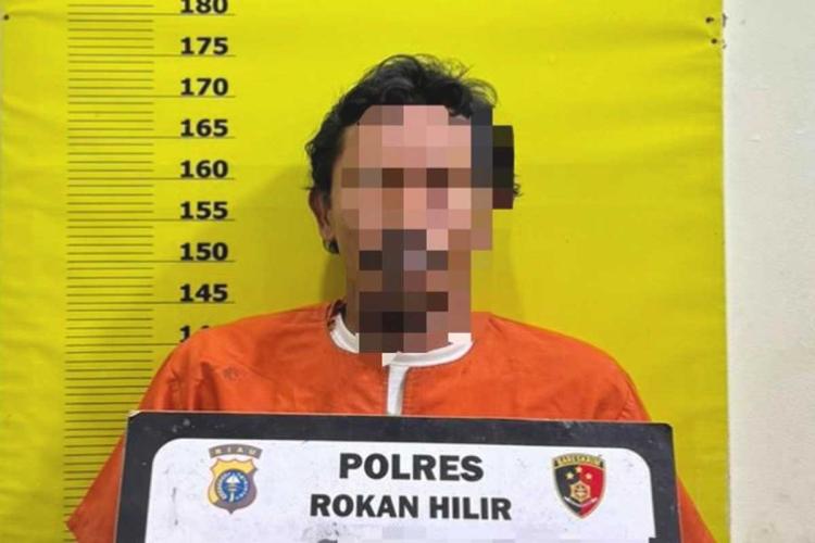 Niat Hati Tanam Sawit, Pria di Rohil Malah Panen Masalah Gara-Gara Kepulan Asap