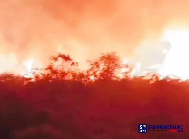 Kepala Desa Nyaris Sesak Dikepung Api Saat Padamkan Karhutla di Malam Lebaran Pulau Topang