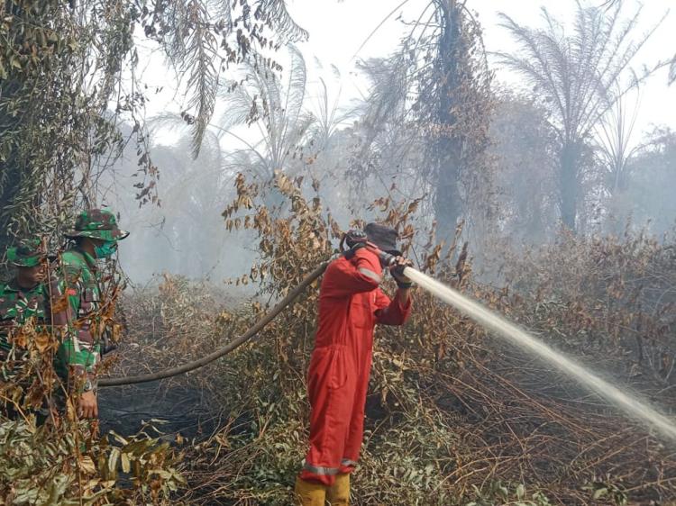 Waspada Pemudik! Bengkalis dan Pelalawan Jadi 