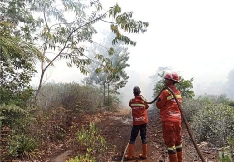 Kabut Asap Riau Mulai Kepung Pemukiman, Siaga Darurat Sampai November