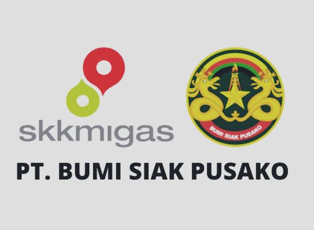 Mencari Sosok Penyelamat PT Bumi Siak Pusako, Pemkab Siak Resmi Buka Seleksi Calon Direktur