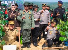 SF Hariyanto Sebut Butuh 9.966 Hektare Lahan Pengganti Relokasi untuk Pemulihan TNTN