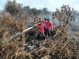 BMKG: Curah Hujan di Bawah Normal, Ancaman Karhutla Tahun Ini Diprediksi Lebih Berat