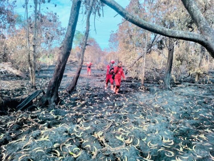 Ngeri! Api Karhutla Riau Kepung Pemukiman, Helikopter Water Bombing Turun Tangan