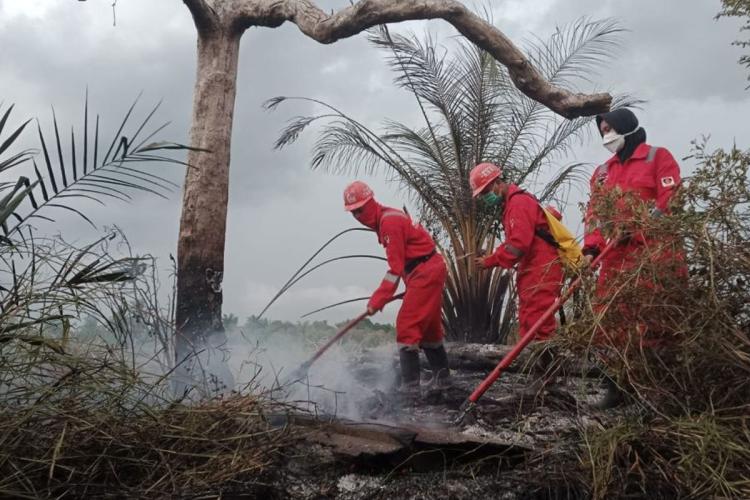 Riau Membara! 3.456 Hektare Lahan Hangus, 19 Tersangka Kini Terancam 15 Tahun Bui