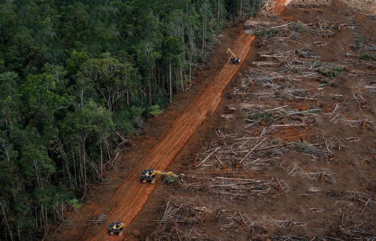 Gimik Pencabutan Izin 28 Perusahaan: Dari Dugaan Pemutihan Kejahatan Korporasi Hingga Ilusi Perubahan