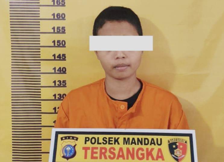 Kasus Penggelapan Sepeda Motor di Mandau Bengkalis, Pelaku Berhasil Diamankan Polisi