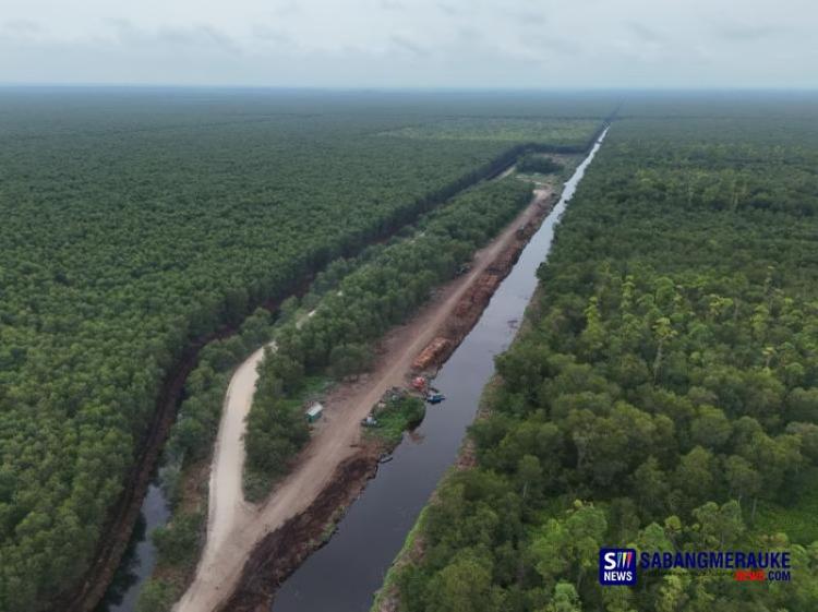 Proyek Karbon Restorasi Ekosistem Riau Garapan APRIL Group Jadi Sorotan, Investigasi Temukan Kejanggalan dan Marjinalisasi Masyarakat Desa