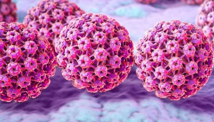 Infeksi HPV pada Laki-laki: Gejala, Risiko, dan Cara Penularan
