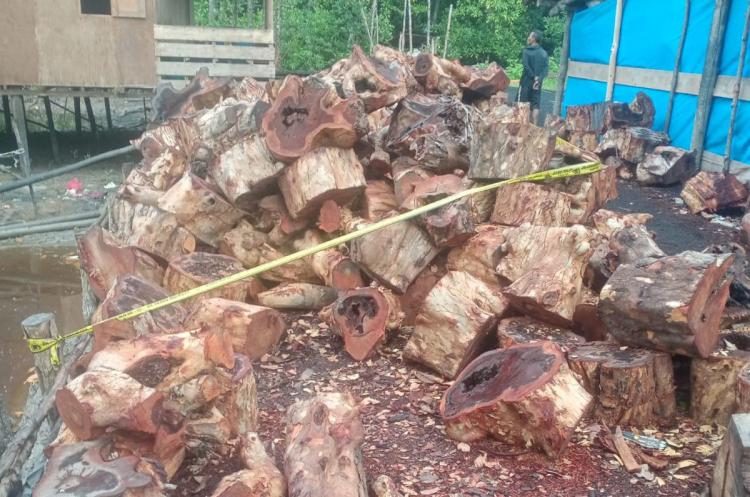 Diduga Ancam Mangrove, Panglong Arang di Kepulauan Meranti Ditutup Paksa-Dipasang Police Line Polda Riau