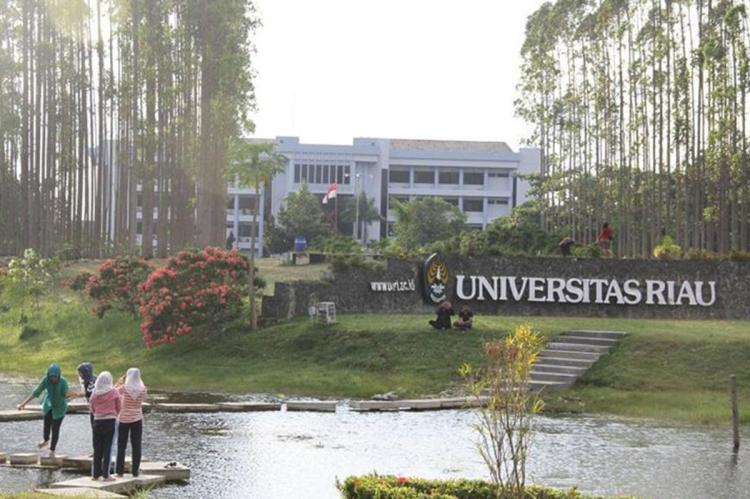 Kasus Panas Universitas Riau Meledak, IDI Buka Suara Soal Dugaan Dokter Cabul