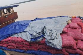 Kapal Misterius Bawa 60 Ton Bawang Ilegal Disergap di Tembilahan