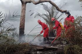Riau Membara! 3.456 Hektare Lahan Hangus, 19 Tersangka Kini Terancam 15 Tahun Bui