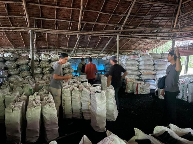 Hutan Mangrove Dijarah Bertahun-Tahun, Polisi Bongkar Dapur Arang Ilegal di Meranti