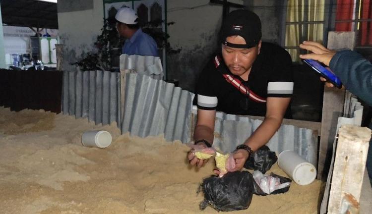 Terbongkar! Narkoba Ditimbun Dalam Tanah, Polisi Temukan Ribuan Pil Ekstasi