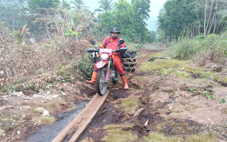 Api Masih Menyala di Pelalawan, Tim Gabungan Berpacu dengan Angin dan Gambut Kering