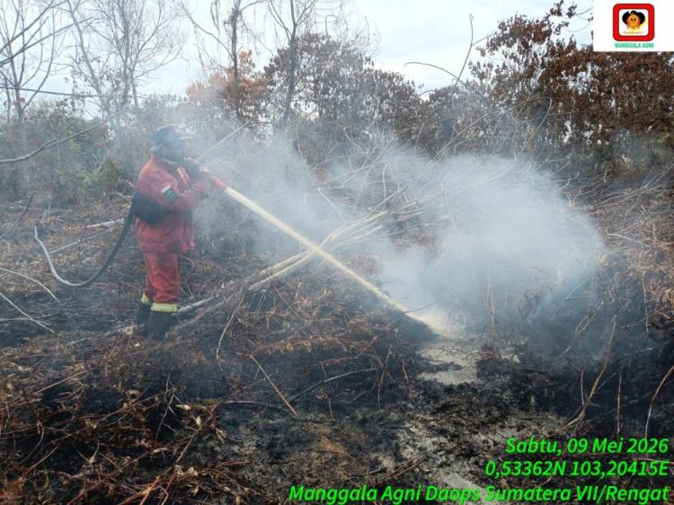 Hujan Ringan Bantu Redam Karhutla di Pulau Mendol Pelalawan Riau  