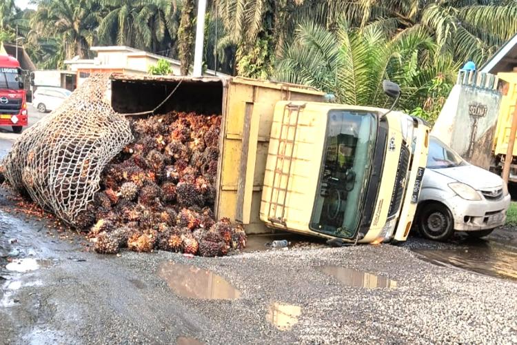 Jalan Rusak dan Lingkungan Hancur, DBH Sawit Riau Malah Anjlok Drastis