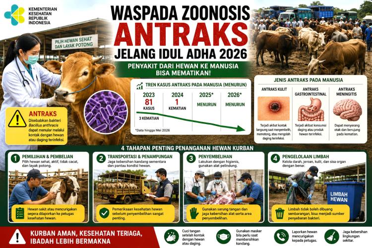 Jangan Asal Pilih Hewan Kurban, Kemenkes Ingatkan Risiko Antraks Mengintai Diam-Diam