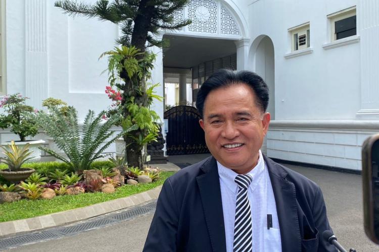 Yusril Tegas soal Pesta Babi: Pemerintah Tak Larang Nobar, Tapi Seniman Harus Terbuka