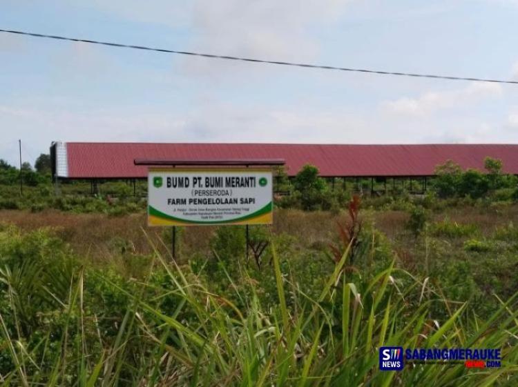 Kejari Kepulauan Meranti Terus Dalami Kasus Dugaan Korupsi BUMD PT Bumi Meranti, Kerugian Negara Masih Dihitung 