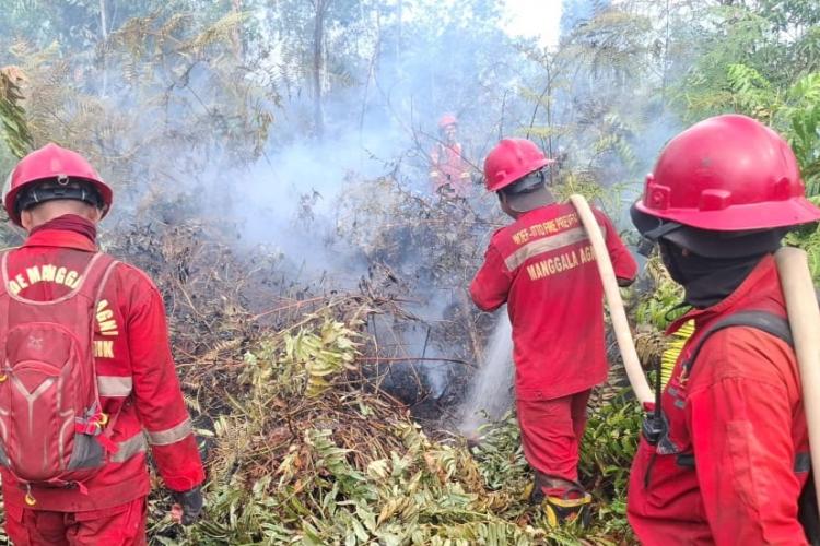 Pekanbaru Tetapkan Status Siaga Darurat Bencana Karhutla Hingga 30 November Mendatang