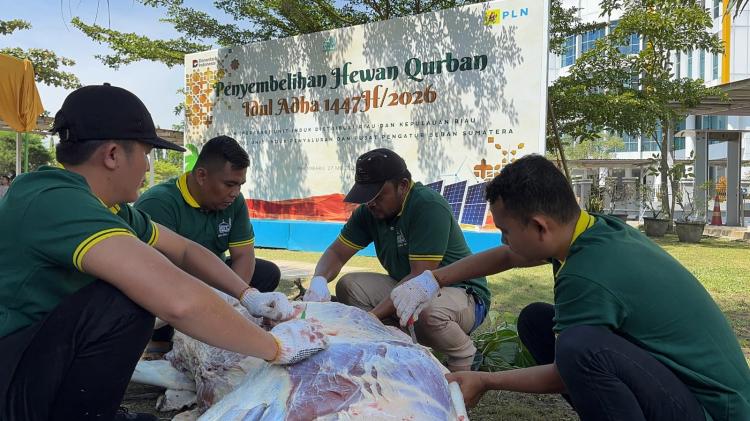 Salurkan 40 Ekor Sapi dan 12 Ekor Kambing, PLN UIP3B Sumatera Hadirkan Berkah Idul Adha untuk Ribuan Warga