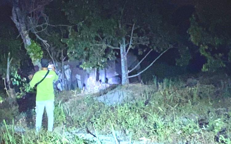 Gajah Liar Tiba-Tiba Muncul Dekat Rumah Warga Pekanbaru, Malam Mencekam Sampai Dini Hari