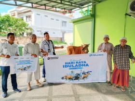 Pelindo Salurkan Sapi Kurban ke Mushalla Taufiq Selatpanjang, Wujud Kepedulian di Hari Raya Idul Adha 1447 Hijriah