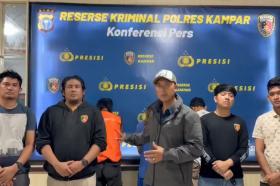 Polisi Kampar Bongkar Pencurian Sapi Fantastis, Mobil Calya Jadi Bukti Mengejutkan