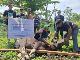 Berkah Idul Adha dari PT ITA, Peternak Lokal Wilayah Operasi Ikut Rasakan Manfaatnya